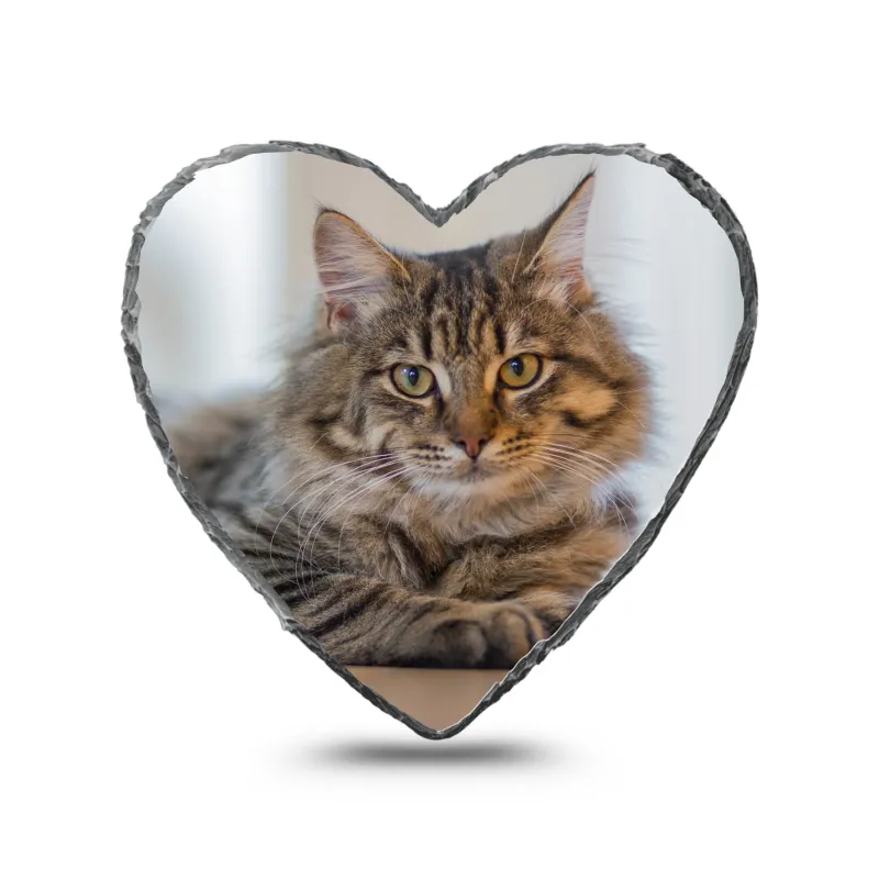 Gedenktegel Hartvorm 15x15 - Mat