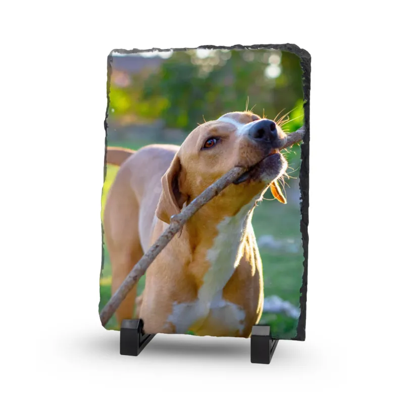 Gedenktegel Rechthoek 15x20 (staand) - Blinkend