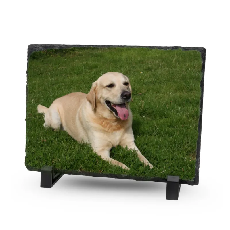 Gedenktegel Rechthoek 20×15 (liggend) - Blinkend