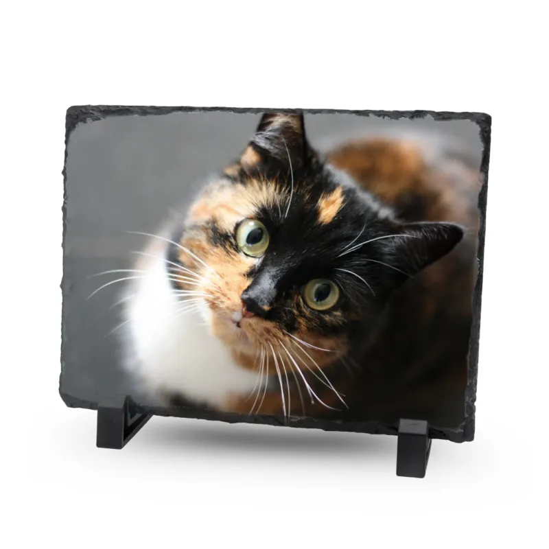 Gedenktegel Rechthoek 20×15 (liggend) - Blinkend