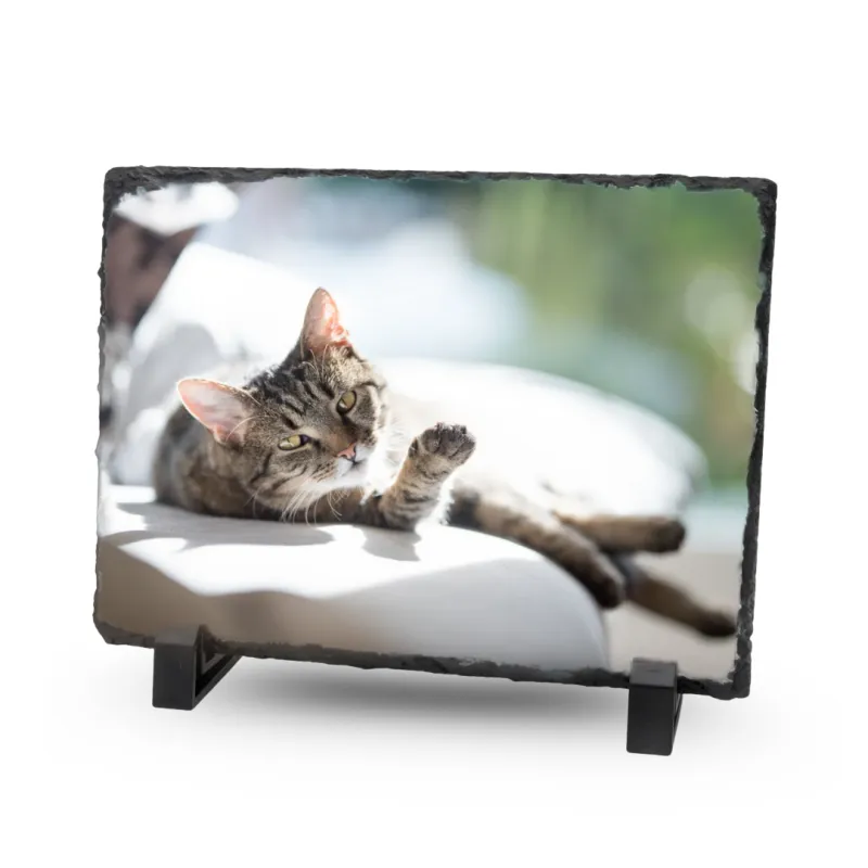 Gedenktegel Rechthoek 20×15 (liggend) - Mat