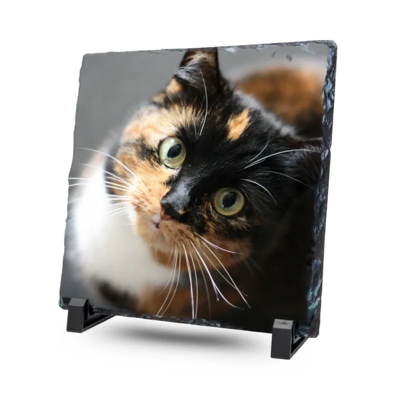 Gedenktegel Vierkant 20×20 Blinkend