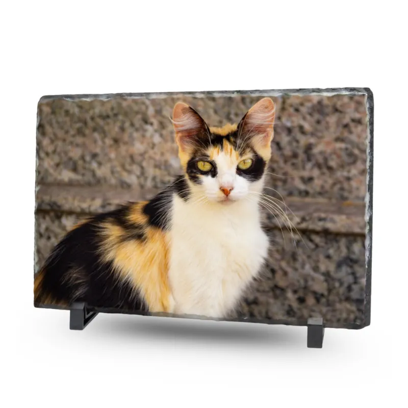 Gedenktegel Rechthoek 20x30 (liggend) - Blinkend