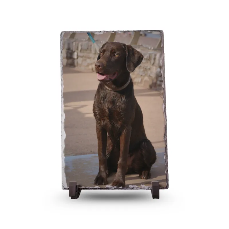 Gedenktegel Rechthoek 20×30 (staand) - Blinkend