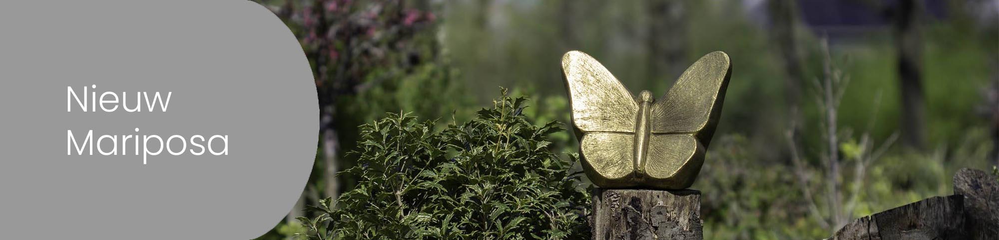 Introductie Mariposa