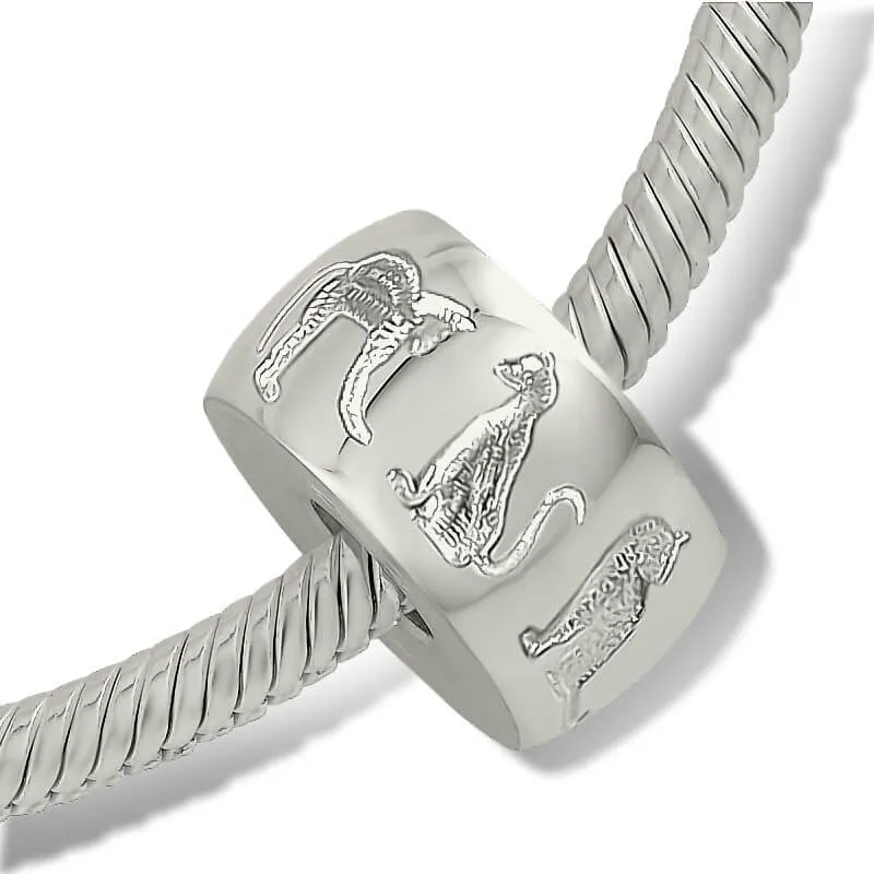 DMB001 Zilver